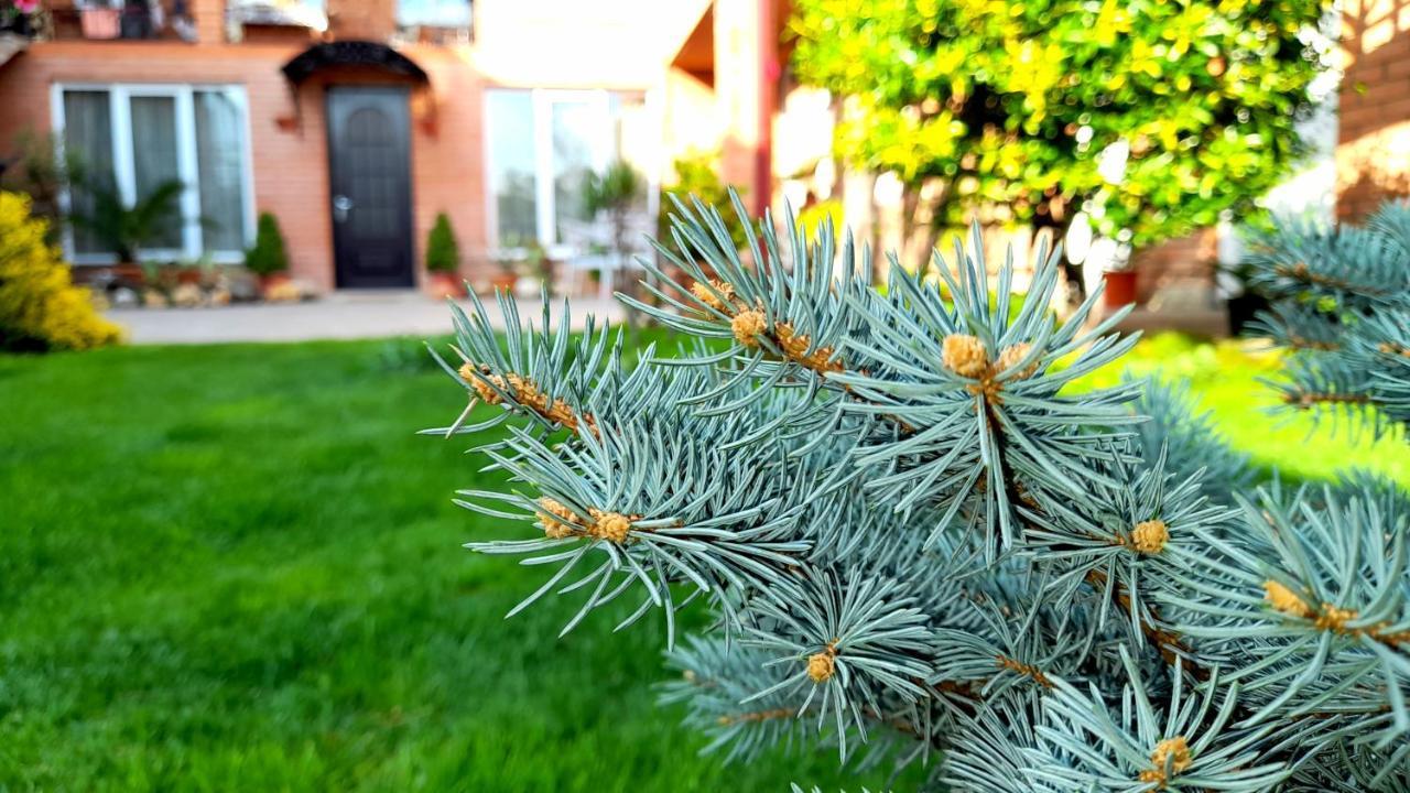 Green Garden Tbilisi Eksteriør billede