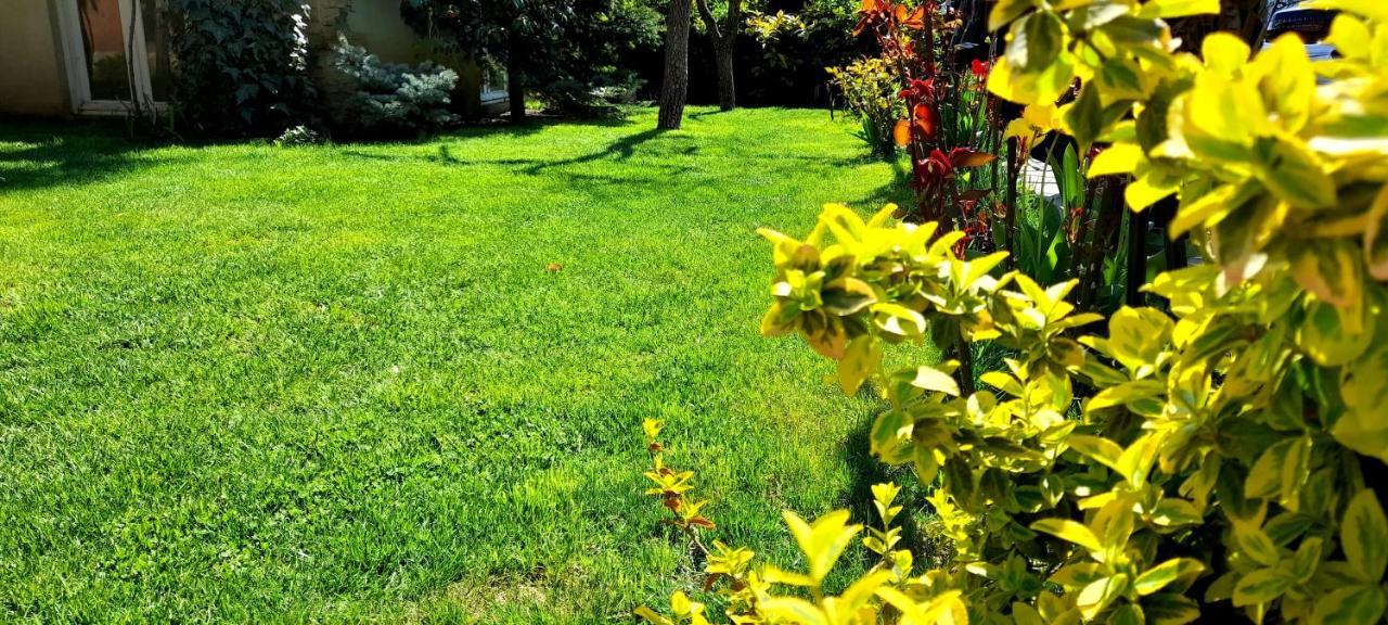 Green Garden Tbilisi Eksteriør billede